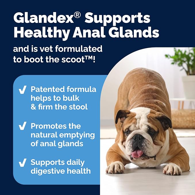 Vetnique Glandex Anal Gland Soft Chew Treats - Image 4