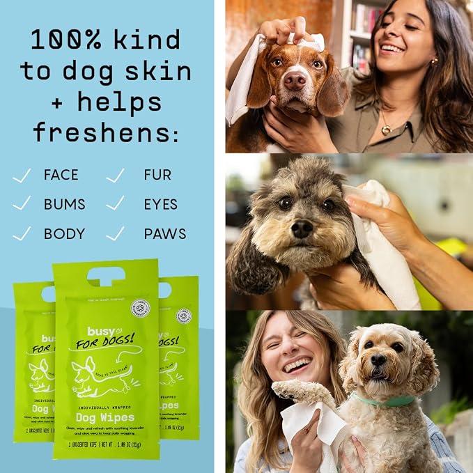 BUSYCO - Hypoallergenic Dog Wipes, Cleaning and Odor Control Grooming Wipes - Image 4