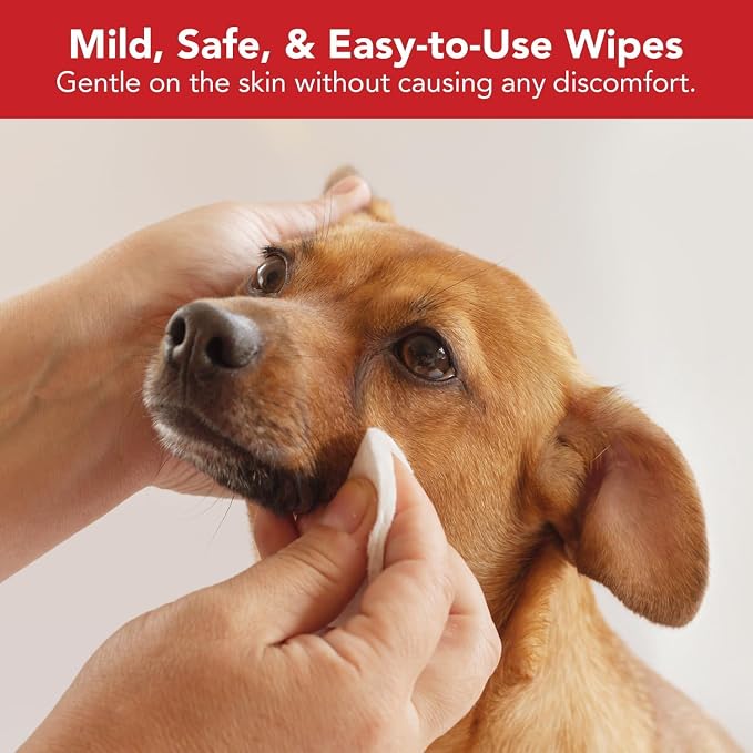 NOVEHA Pet Wipes - Image 5