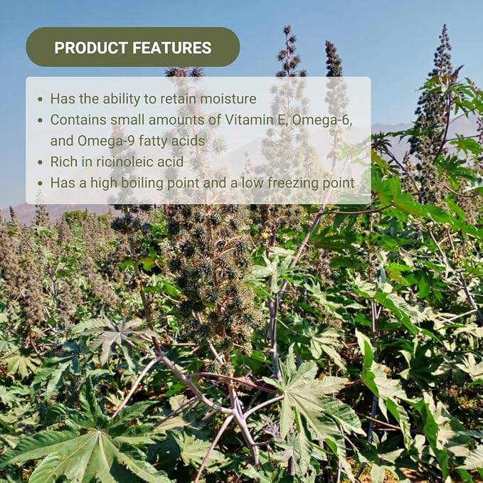 Organic Castor Oil Direct From India - Image 2