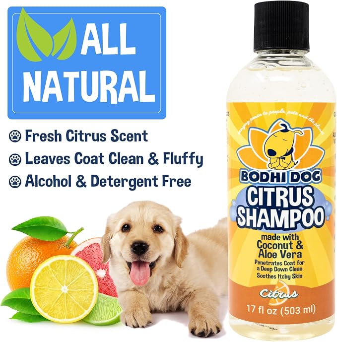 Bodhi Dog Refreshing Orange Citrus Shampoo - Image 5