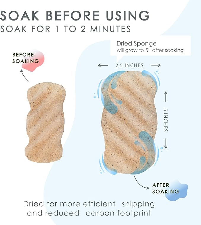 Konjac Sponge Body Exfoliating Walnut | Microplastic Free 100% Natural | - Image 7