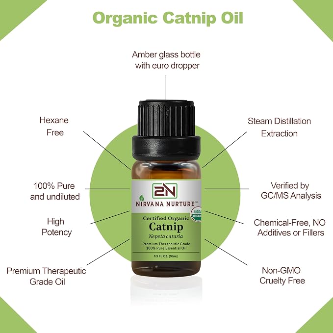 Catnip Essential Oil USDA Certified Organic, 100% Pure Natural Premium Grade - Image 4