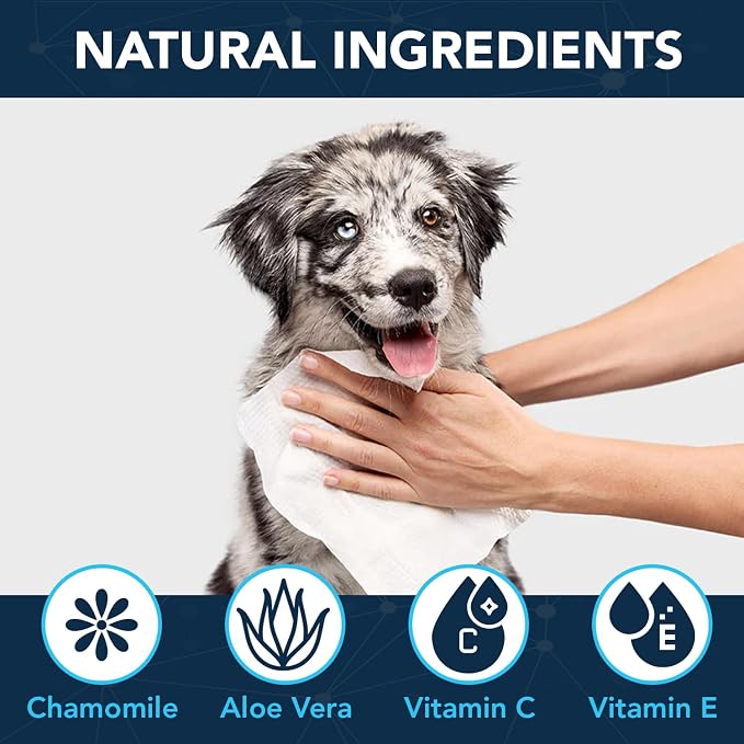 NOVEHA 120PCs Dog Wipes - Image 4