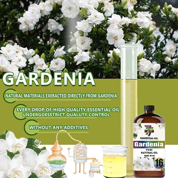 Gardenia Essential Oil – Gardenia Oils - Image 8