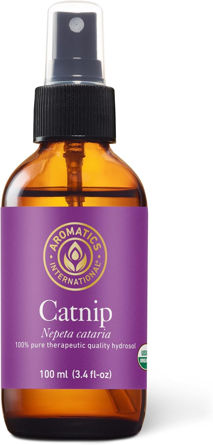 Aromatics International Catnip Hydrosol 100ml | Herbal Aromatic Mist by AromaticsInternational
