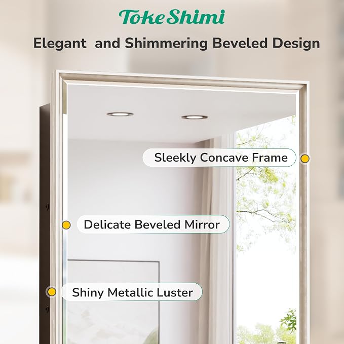 TokeShimi 26x30 Recessed or Surface Mounted Medicine Cabinet Mirror, Aluminum - Image 4