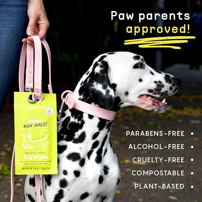 BUSYCO - Hypoallergenic Dog Wipes, Cleaning and Odor Control Grooming Wipes - Image 6