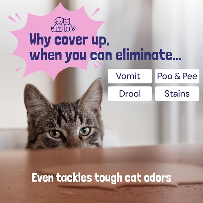 Sunny & Honey Pet Stain & Odor Miracle - Image 4