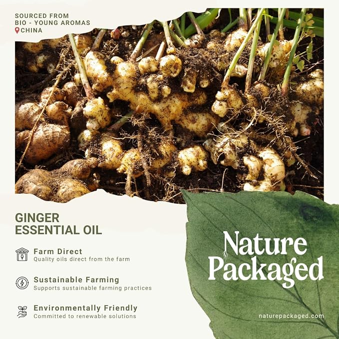 Ginger Essential Oil - Image 7
