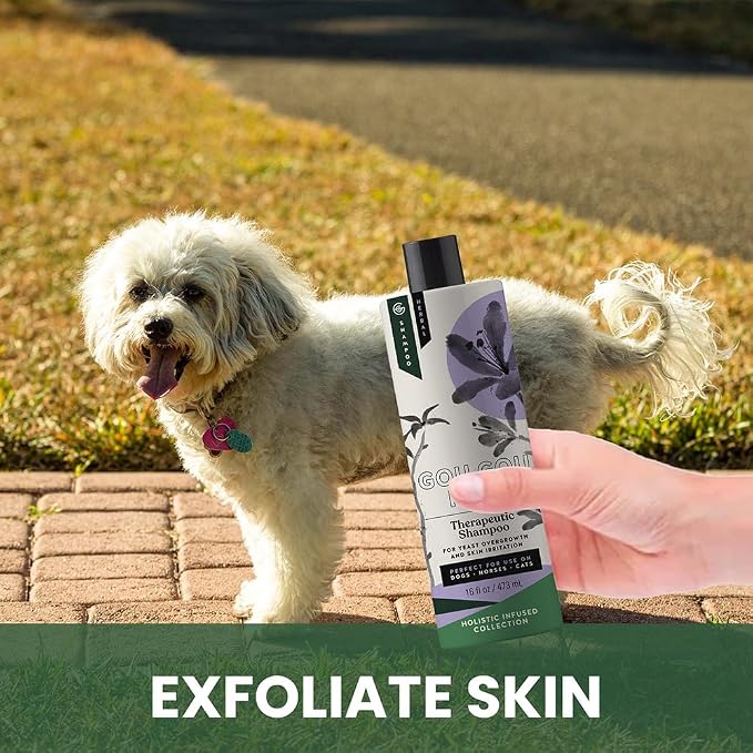 Holistic Natural Anti-Fungal Shampoo - Image 3