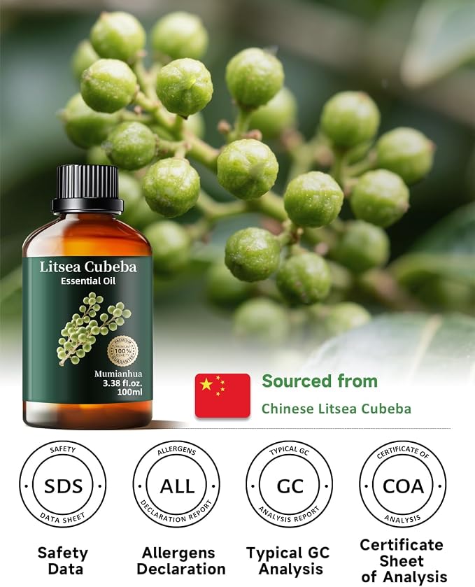 Mumianhua Litsea Cubeba Essential Oil 100% Pure Litsea Cubeba Oil Natural May - Image 6