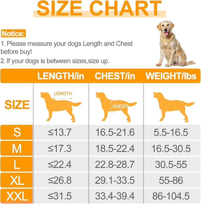 Bienbee Dog Bathrobe, Quick Drying Super Absorbent Dog Robes - Image 6