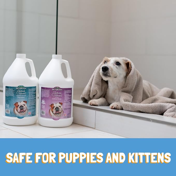 Bio-Groom Oatmeal Dog Shampoo - Image 5
