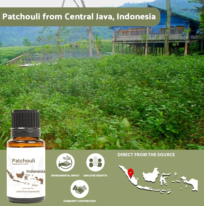 Dark Patchouli Essential Oil - Image 3