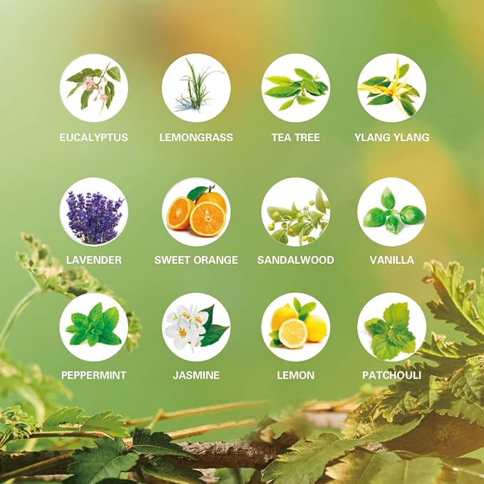 Essential Oils Set, 100% Organic Essential Oil, Ylang Ylang, Tea Tree, - Image 5