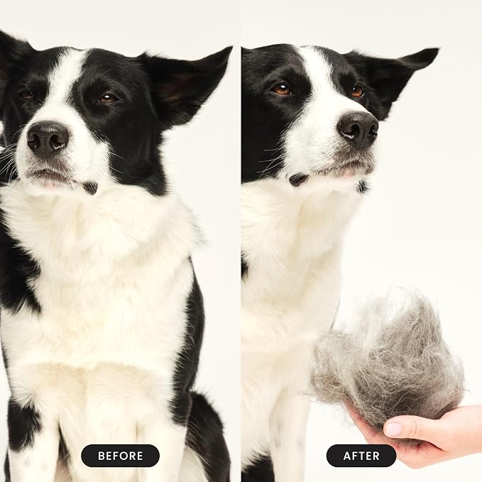 Pet Teezer De-Shedding Dog Brush by Tangle Teezer, Dog Grooming Tool - Image 5