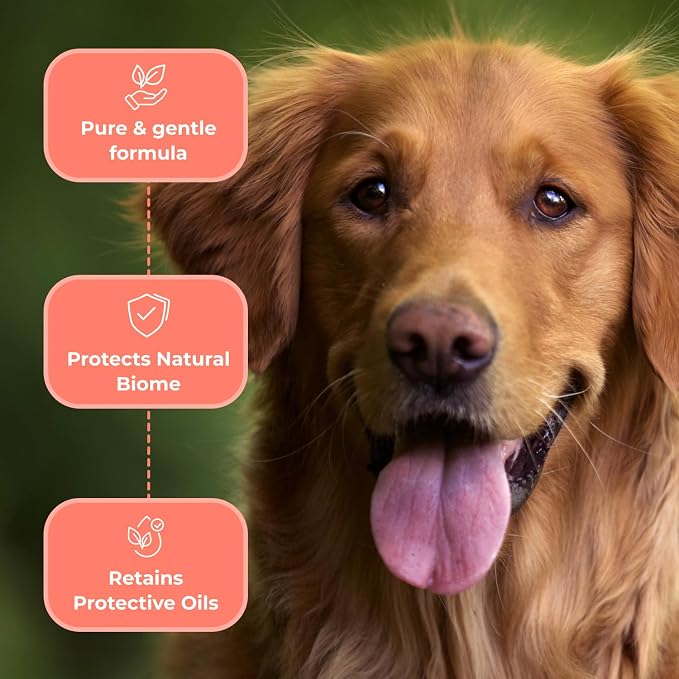 COAT DEFENSE Paw Licker Bundle | Dry Powder - Image 5