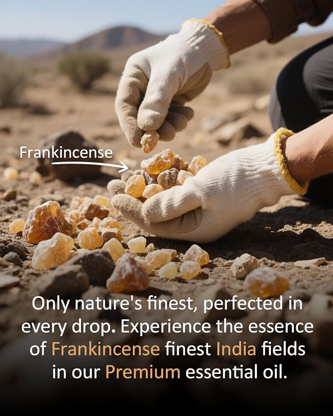 Pure Frankincense Essential Oil Pure - Image 4