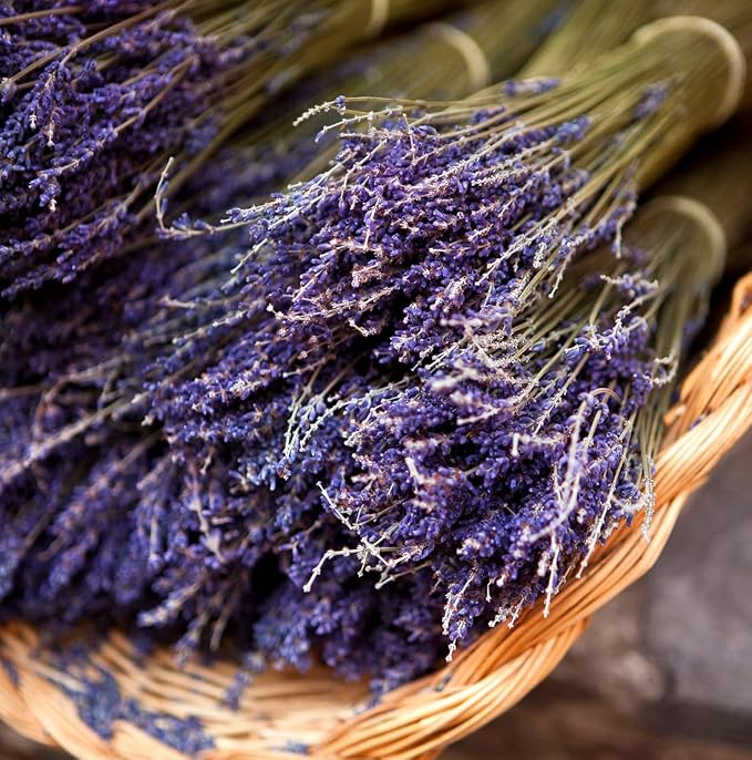 Lavender Oil - Bulgarian Essential Oils - Lavender Diffuser - Pure Therapeutic - Image 9