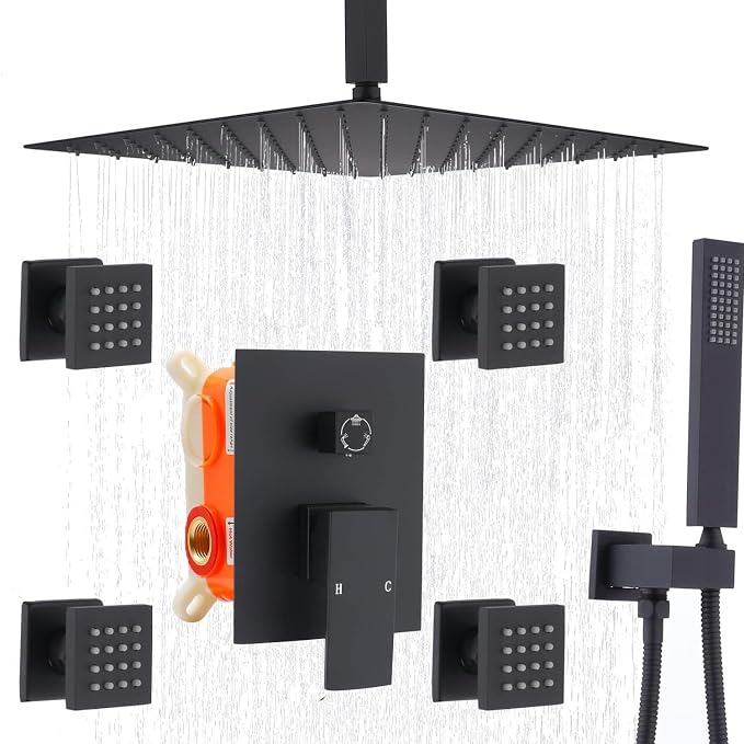 Enga 12 Inch Ceiling Mount Matte Black Shower System by Enga