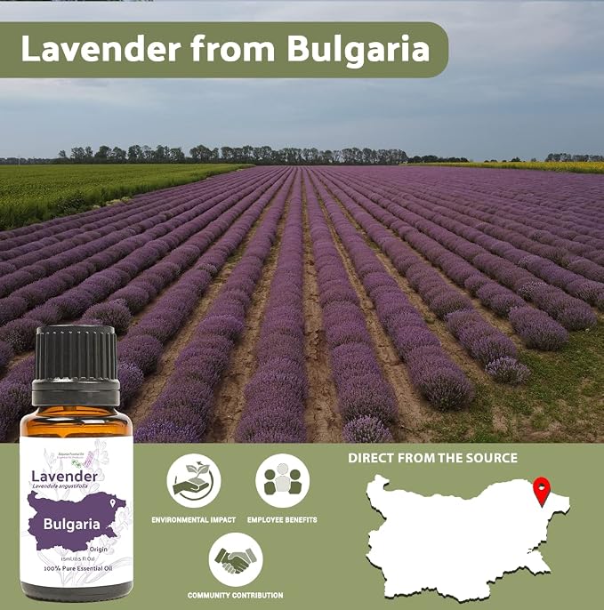 Lavender Oil - Bulgarian Essential Oils - Lavender Diffuser - Pure Therapeutic - Image 3