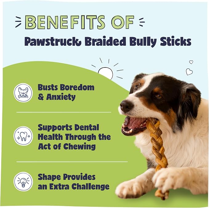 Pawstruck Natural 9” Braided Bully Sticks - Image 2