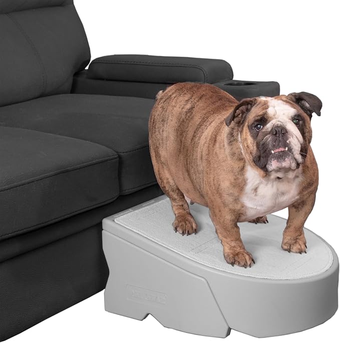 Pet Gear Stramp Stair and Ramp Combination by PetGear