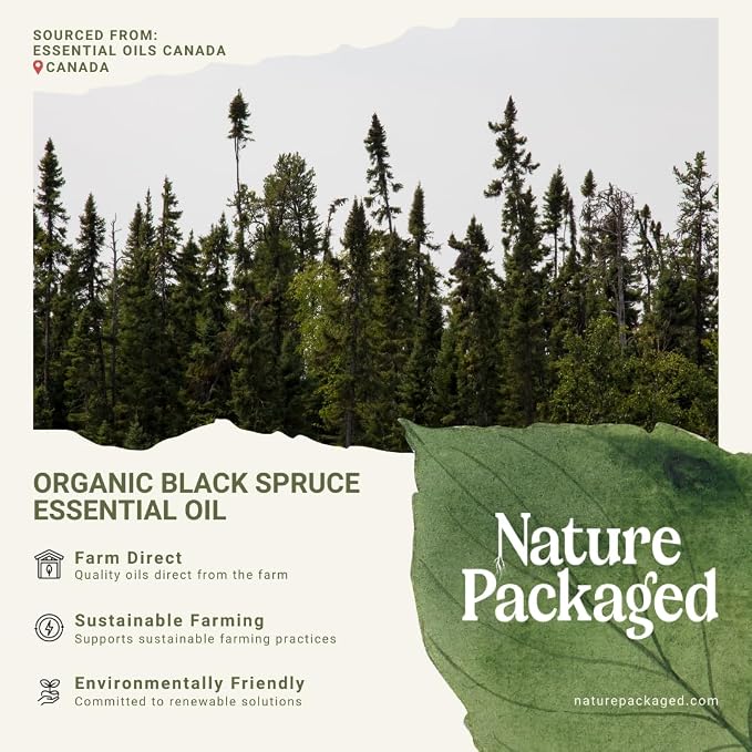 Organic Black Spruce Essential Oil from Canada - Image 4