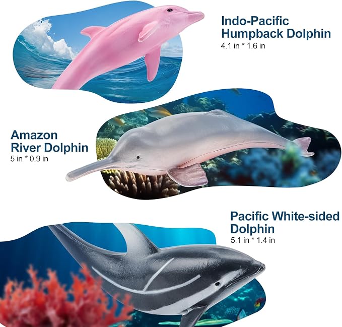 6PCS 5" Realistic Dolphin Figurines Toy - Image 3