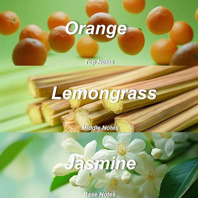 Vassili Fragrance Body Wash - Image 3