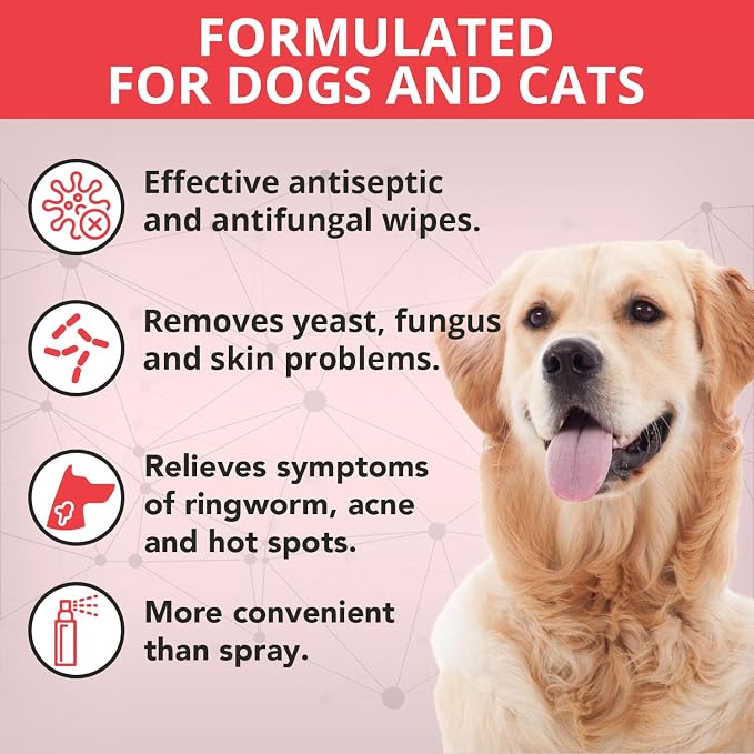 NOVEHA 120PCs XL Formulated Pet Wipes - Image 2