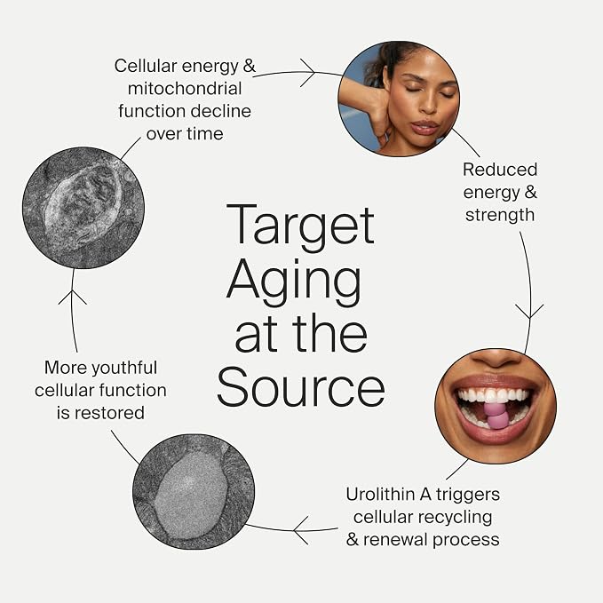Timeline Mitopure Urolithin A Supplement Gummies - Image 6