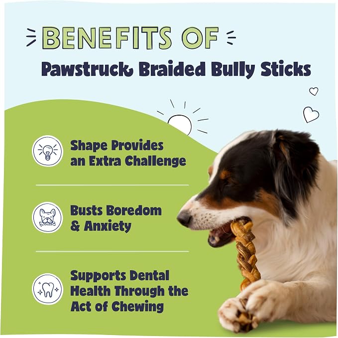 Pawstruck Natural 7” Braided Bully Sticks - Image 2