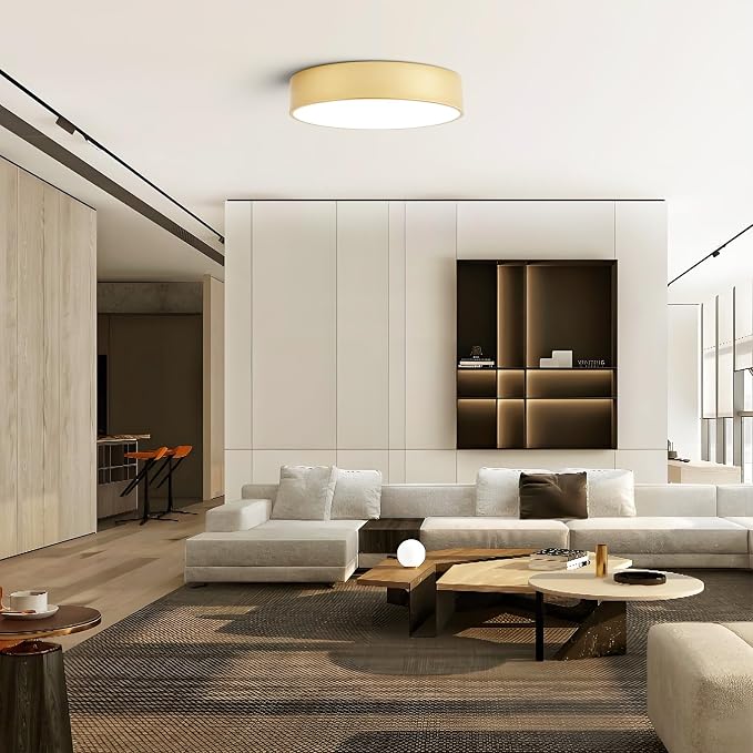 Dimmable Modern Large Flush Mount Close to Ceiling Light Fixture, Round Painted - Image 9