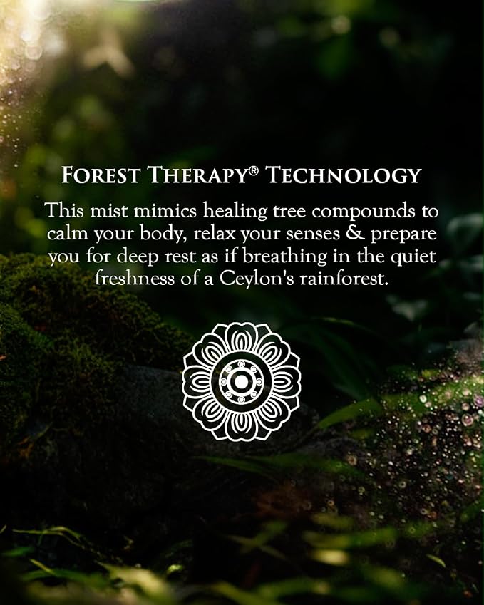 SPA CEYLON ForestVeda - Image 5