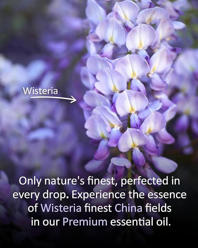 Pure Wisteria Essential Oil, 100% Natural Wisteria Essential Oil, Premium Grade - Image 4