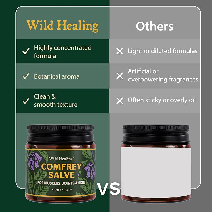 Wild Healing Comfrey Salve – Concentrated Herbal Balm - Image 6