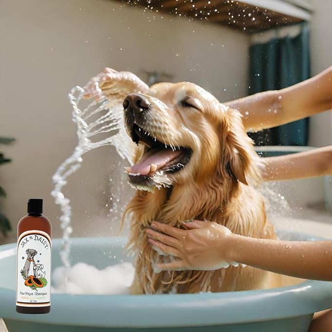 Jax N Daisy Pawpaya Dog Shampoo - Image 3