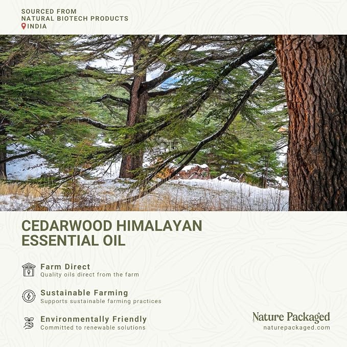 Cedarwood Himalayan Essential Oil - Image 3
