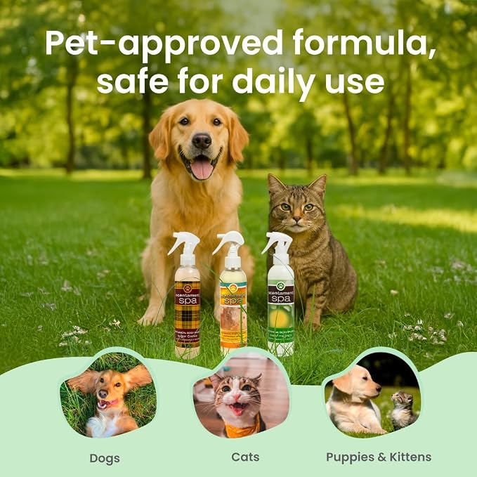 Best Shot Scentament Spa Botanical Body Splash, Pet Spray - Image 6
