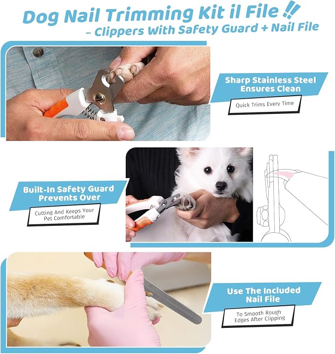 Pet Steam Brush for Dog & Cat – 3-in-1 Spray Hair Removal Comb for Shedding & - Image 5
