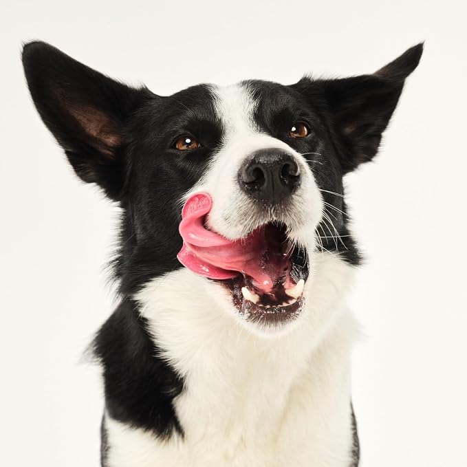 Pet Teezer De-Shedding Dog Brush by Tangle Teezer, Dog Grooming Tool - Image 7