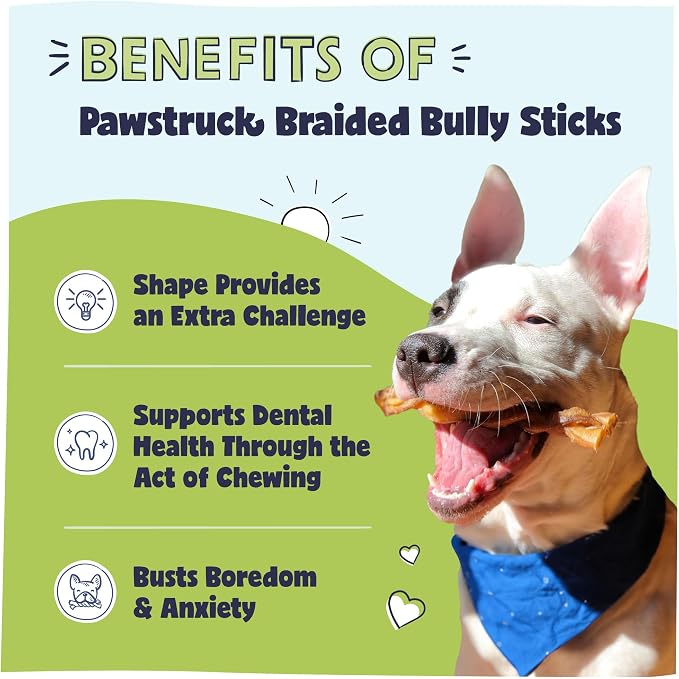 Pawstruck Natural 5” Braided Bully Sticks - Image 2
