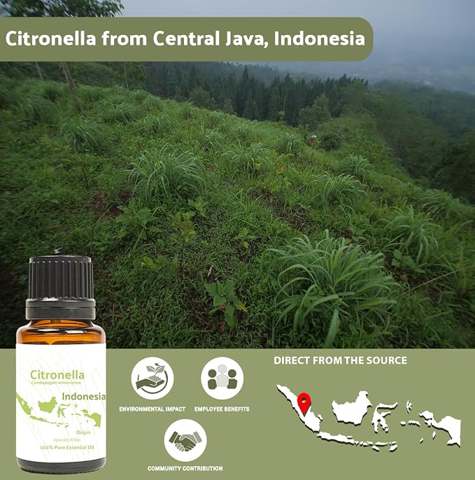 Citronella Essential Oil - Image 3