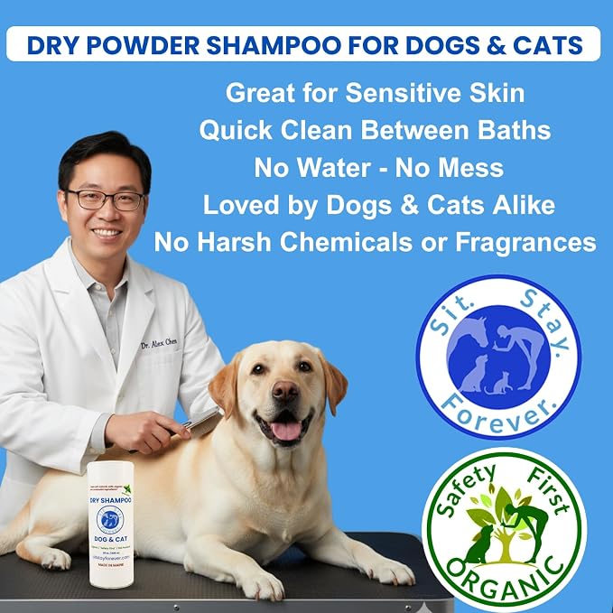 Sit. Stay. Forever. Dry Shampoo - Image 2