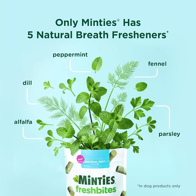 Minties FreshBites Soft and Chewy Dental Treats - Image 6