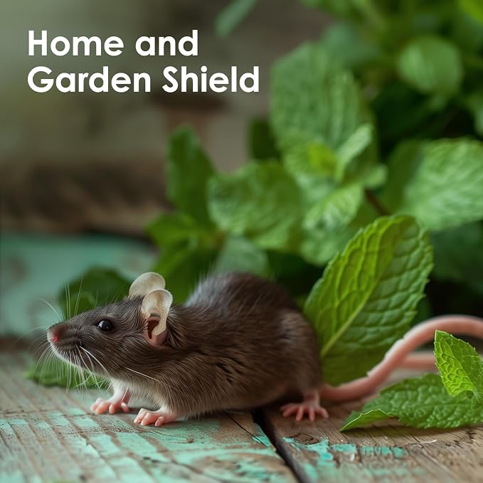 Peppermint Essential Oil Pure & Natural Sweet - Image 8