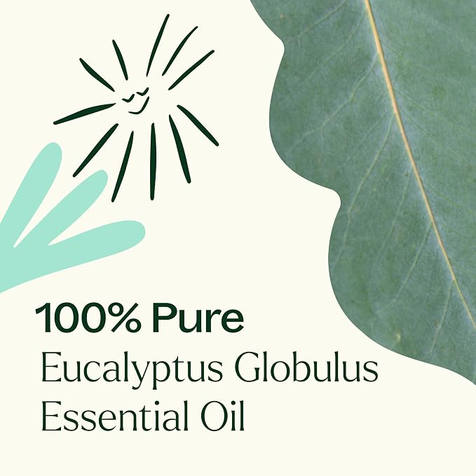 Plant Therapy Eucalyptus Globulus Essential Oil 100 mL - Image 6