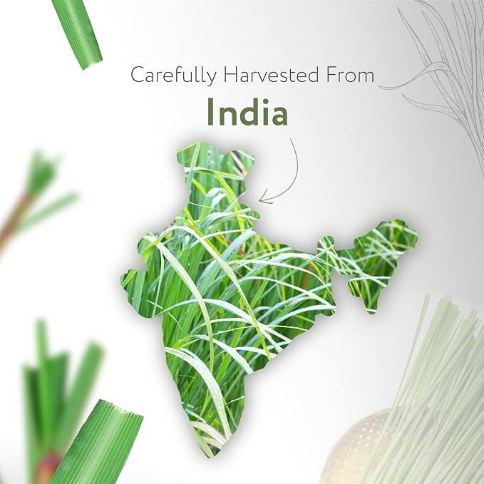 HBNO Organic Lemongrass Essential Oil - Image 3